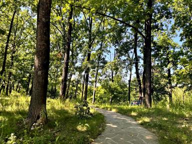 House by the address (area 435 m²) - Atlanta.ua - photo 104