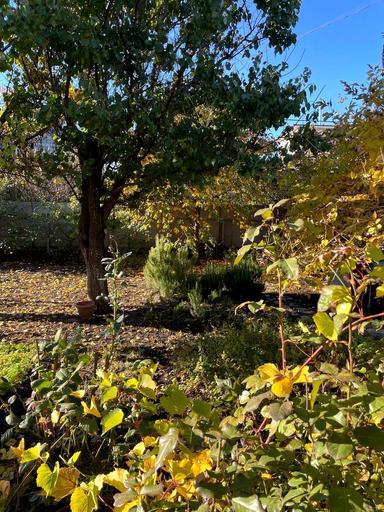 House by the address st. Borovskogo Nikolaya (area 132 m²) - Atlanta.ua - photo 22