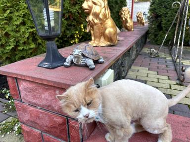 Будинок за адресою вул. Трублаїні (площа 300 м²) - Atlanta.ua - фото 80