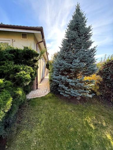 Будинок за адресою вул. Тараса Шевченка (площа 600 м²) - Atlanta.ua - фото 102