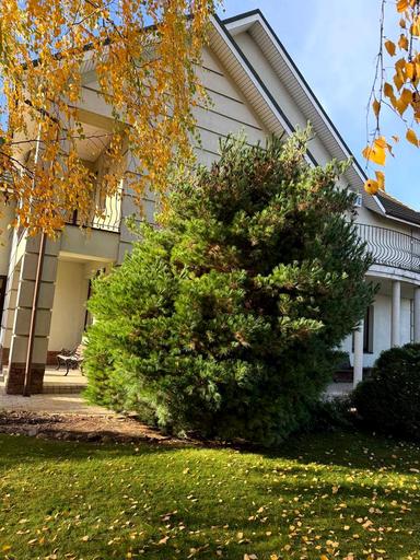 Будинок за адресою вул. Тараса Шевченка (площа 600 м²) - Atlanta.ua - фото 114