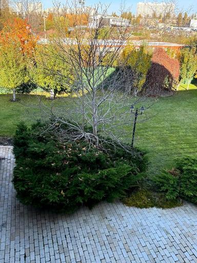 Будинок за адресою вул. Тараса Шевченка (площа 600 м²) - Atlanta.ua - фото 130