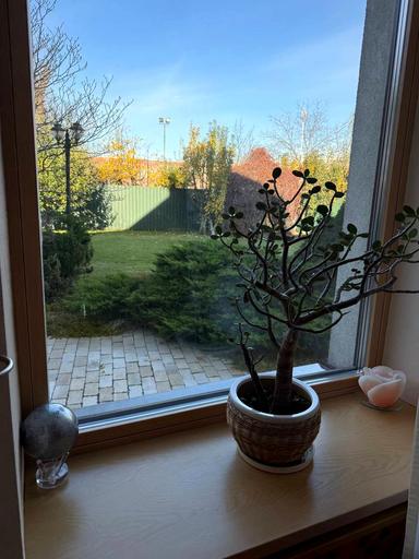 Будинок за адресою вул. Тараса Шевченка (площа 600 м²) - Atlanta.ua - фото 147