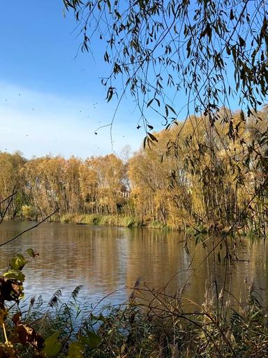 Будинок за адресою вул. Боголюбова (площа 114 м²) - Atlanta.ua - фото 15