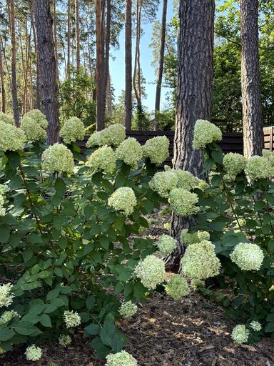 Дом по адресу ул. Институтская (площадь 150 м²) - Atlanta.ua - фото 49