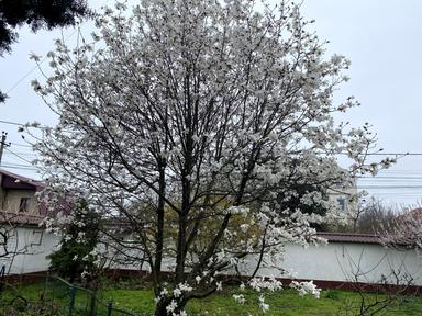 Дом по адресу Амундсена 2-й пер. (площадь 388,5 м²) - Atlanta.ua - фото 22