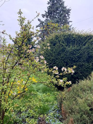 Дом по адресу Амундсена 2-й пер. (площадь 388,5 м²) - Atlanta.ua - фото 23