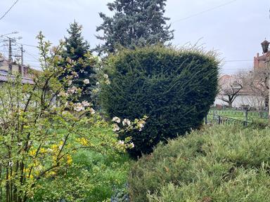 Дом по адресу Амундсена 2-й пер. (площадь 388,5 м²) - Atlanta.ua - фото 24