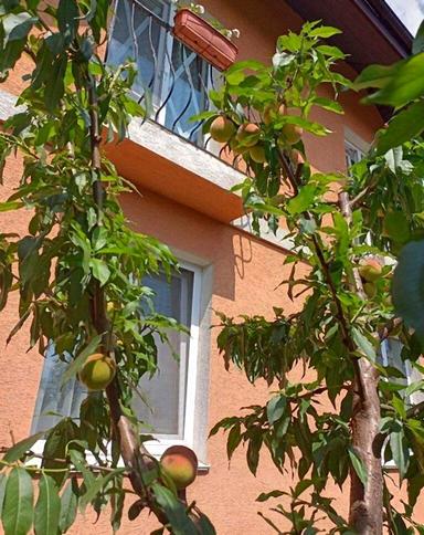 Дом по адресу (площадь 170,2 м²) - Atlanta.ua - фото 31