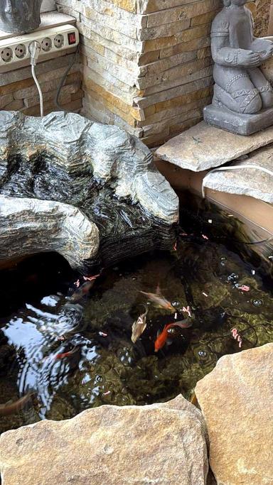 Багатокімнатна квартира за адресою (площа 235 м²) - Atlanta.ua - фото 59