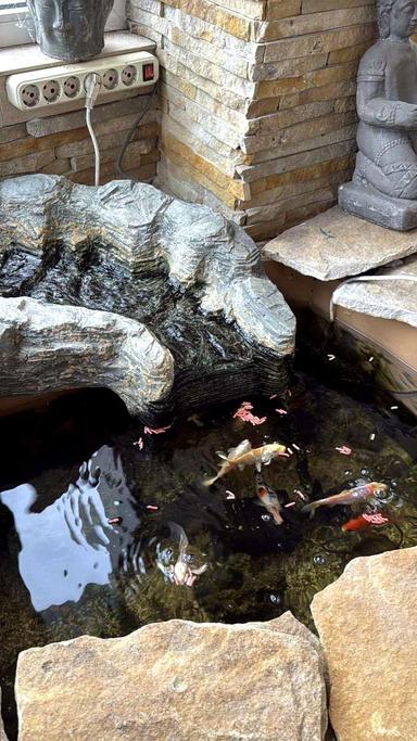 Багатокімнатна квартира за адресою (площа 235 м²) - Atlanta.ua - фото 89