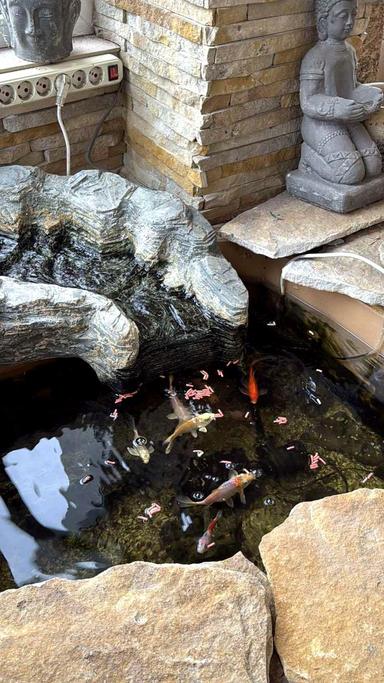 Багатокімнатна квартира за адресою (площа 235 м²) - Atlanta.ua - фото 92