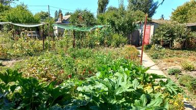 Будинок за адресою Чорноморський 8-й пров. (площа 81,8 м²) - Atlanta.ua - фото 92