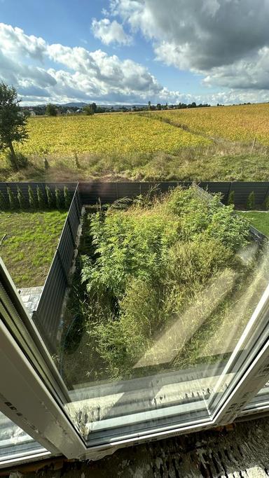 Будинок за адресою (площа 105 м²) - Atlanta.ua - фото 35