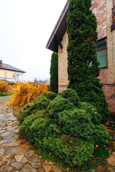 House by the address (area 370 m²) - Atlanta.ua - photo 23