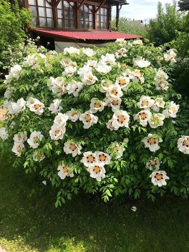 Дом по адресу (площадь 631 м²) - Atlanta.ua - фото 145