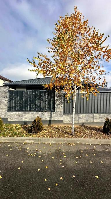 Будинок за адресою (площа 156 м²) - Atlanta.ua - фото 23