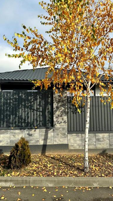 Будинок за адресою (площа 156 м²) - Atlanta.ua - фото 28