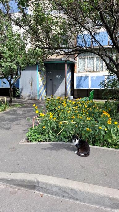 1-комнатная квартира по адресу ул. Милютенко (площадь 36 м²) - Atlanta.ua - фото 36