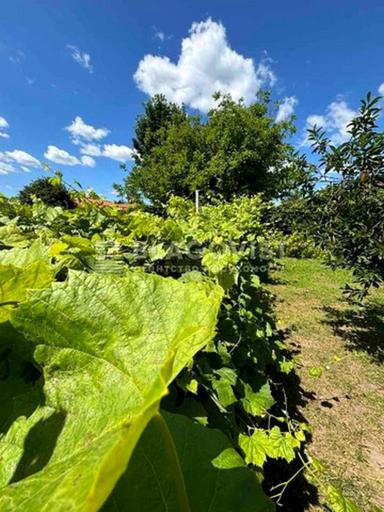 Будинок за адресою вул. Лесі Українки (площа 168 м²) - Atlanta.ua - фото 33