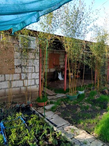 House by the address (area 51 m²) - Atlanta.ua - photo 6