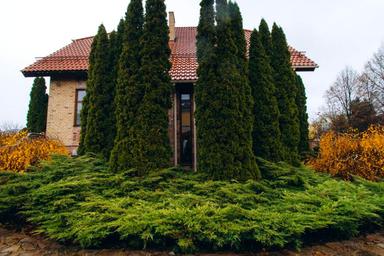 House by the address (area 371 m²) - Atlanta.ua - photo 52