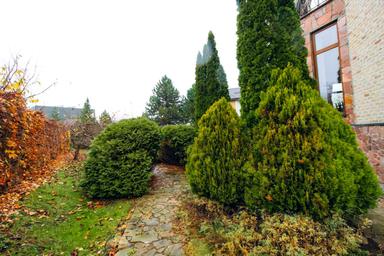 House by the address (area 371 m²) - Atlanta.ua - photo 60