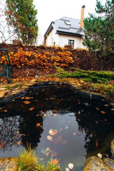 House by the address (area 371 m²) - Atlanta.ua - photo 62