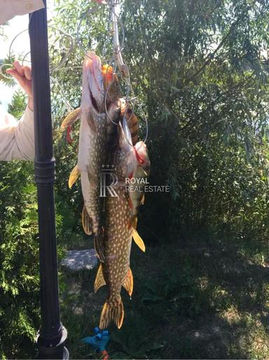 Коммерческая недвижимость по адресу (площадь 420 м²) - Atlanta.ua - фото 21