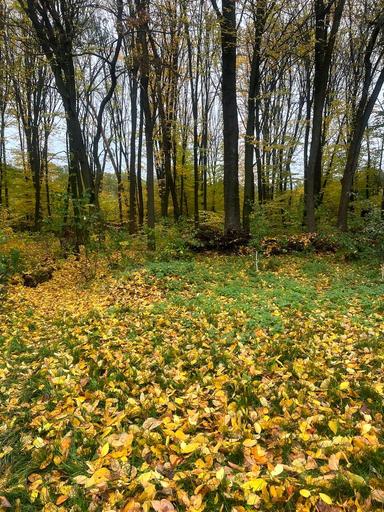 House by the address (area 35 m²) - Atlanta.ua - photo 44