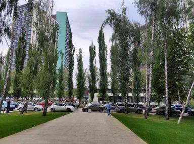 Комерційна нерухомість за адресою вул. Олександра Олеся (площа 354 м²) - Atlanta.ua - фото 19