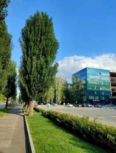 Комерційна нерухомість за адресою вул. Олександра Олеся (площа 354 м²) - Atlanta.ua - фото 15