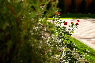 1-room apartment apartment by the address (area 41 m²) - Atlanta.ua - photo 18