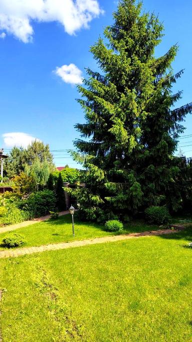 House by the address (area 499 m²) - Atlanta.ua - photo 78