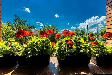 House by the address st. Grodnenskaya (area 196 m²) - Atlanta.ua - photo 136