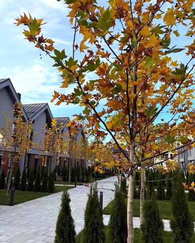 Дом по адресу ул. Вишневая (площадь 165 м²) - Atlanta.ua - фото 45