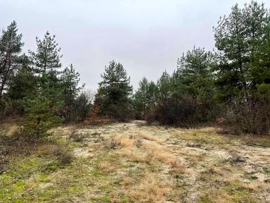 Коммерческая недвижимость по адресу (площадь 700 м²) - Atlanta.ua - фото 29