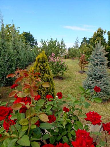 Будинок за адресою вул. Героїв Громади (площа 77 м²) - Atlanta.ua - фото 28