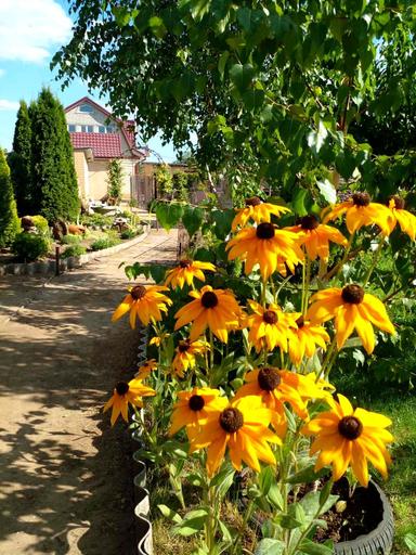 Будинок за адресою вул. Героїв Громади (площа 77 м²) - Atlanta.ua - фото 31