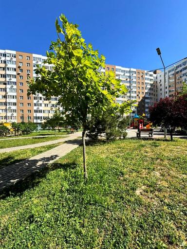 Комерційна нерухомість за адресою вул. Сахарова (площа 42 м²) - Atlanta.ua - фото 24