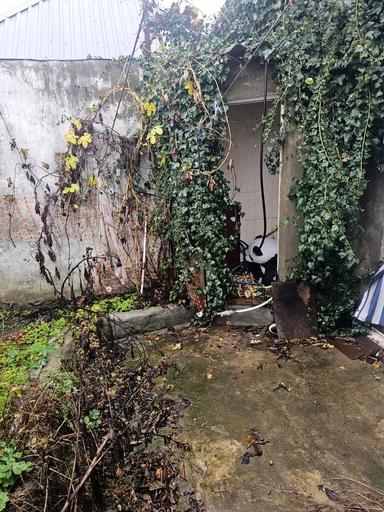 Дом по адресу ул. Дача Ковалевского (площадь 42 м²) - Atlanta.ua - фото 19