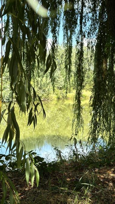 Дом по адресу (площадь 196 м²) - Atlanta.ua - фото 22