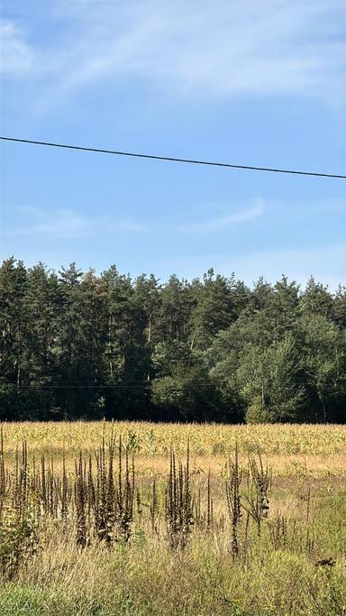 Будинок за адресою (площа 124 м²) - Atlanta.ua - фото 22