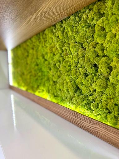 Багатокімнатна квартира за адресою вул. Практична (площа 120 м²) - Atlanta.ua - фото 75