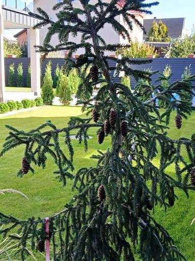 House by the address st. Sobornaya (area 136 m²) - Atlanta.ua - photo 23