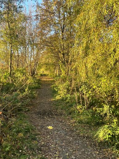 3-комнатная квартира по адресу ул. Академика Янгеля (площадь 68,8 м²) - Atlanta.ua - фото 33