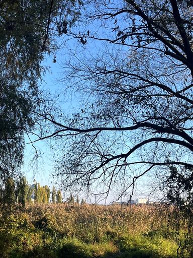 3-комнатная квартира по адресу ул. Академика Янгеля (площадь 68,8 м²) - Atlanta.ua - фото 34