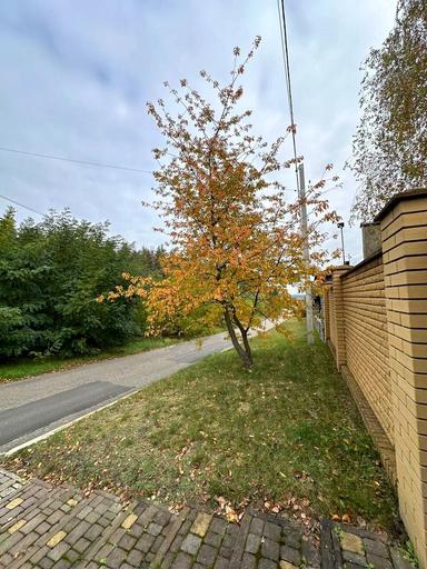 Будинок за адресою (площа 362 м²) - Atlanta.ua - фото 47