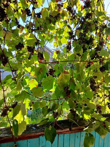 Дом по адресу (площадь 30 м²) - Atlanta.ua - фото 30