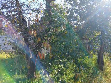 Дом по адресу (площадь 30 м²) - Atlanta.ua - фото 29